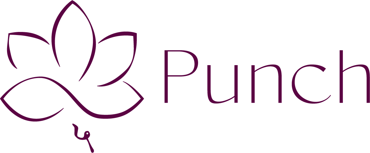 Punch Billing Platform